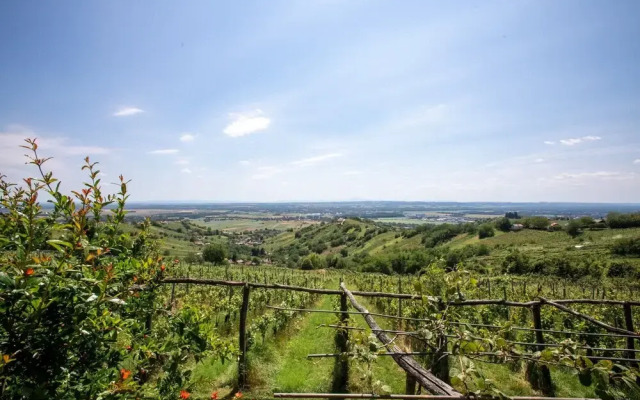 Wellness Vineyard Cottage Cuk