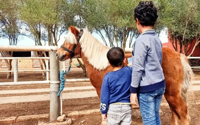 Equi Palace & Spa