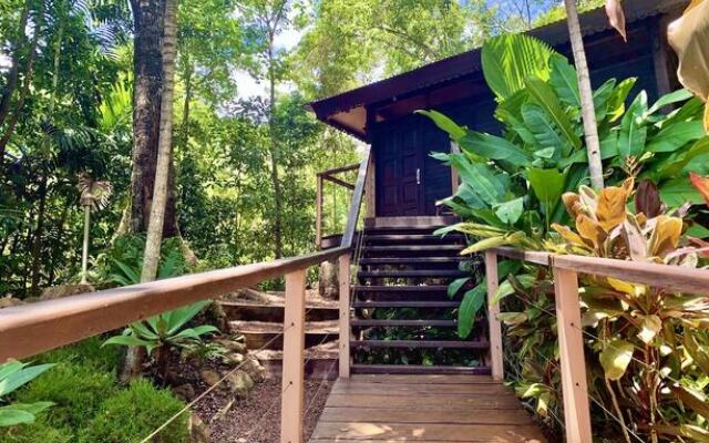 Cairns Rainforest Retreat