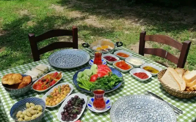 Mustafa'nin Fidan'i