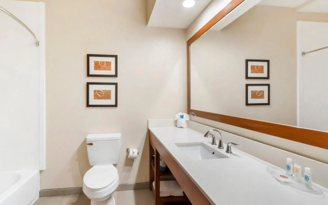 Comfort Inn Summerville - Charleston