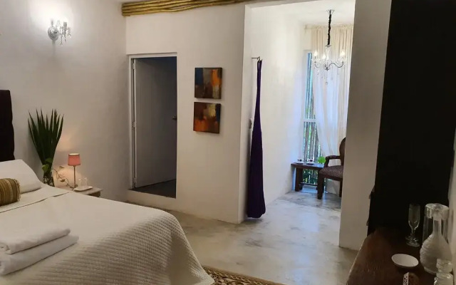 Elixir Tulum
