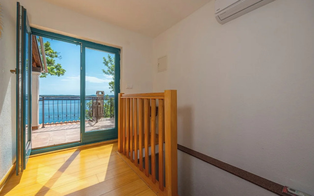 Villa Cikas Palmhouse