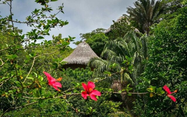 Ecohabs Bosques Del Tayrona