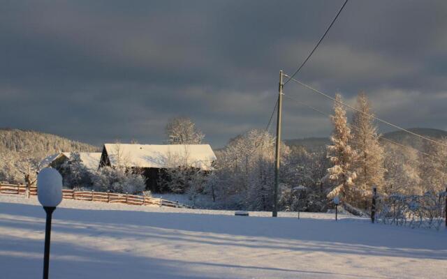 Dom na Klonowym Wzgórzu