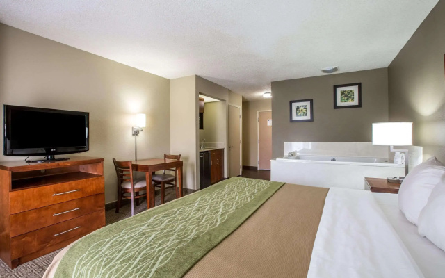 Comfort Inn & Suites At Dollywood Lane