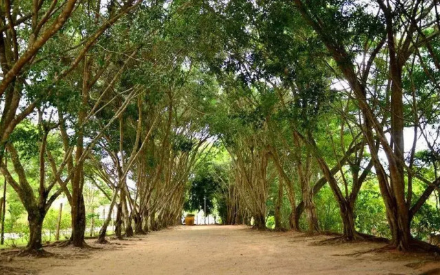 Hotel Solar dos Colibris