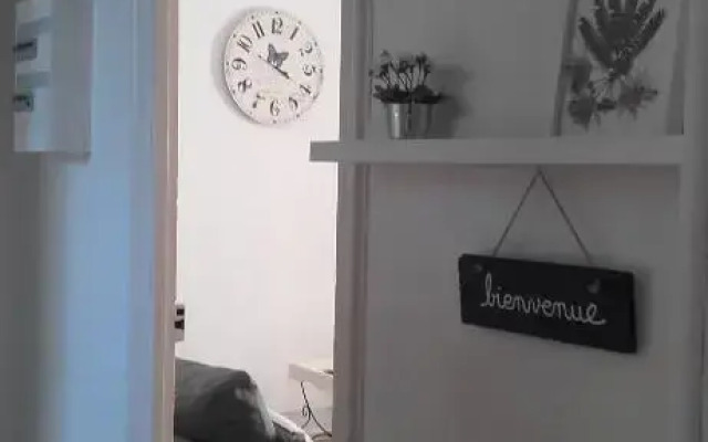 appartement centre vue jardin