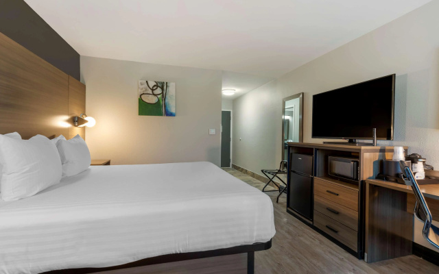 Best Western Corpus Christi Airport Hotel