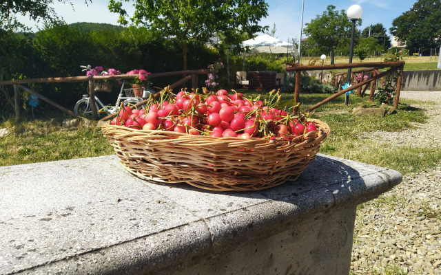 Agriturismo Casale 1921