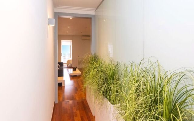 Centro: Passeig de Gracia - Casa Batllo