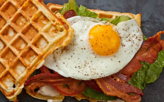 Back To The Land B&B