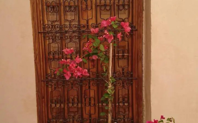 Riad Au " 20 jasmins & Spa "