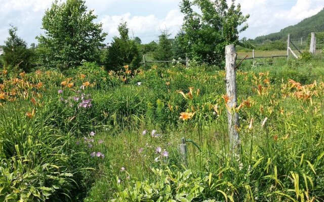 La Conche Saint-Martin