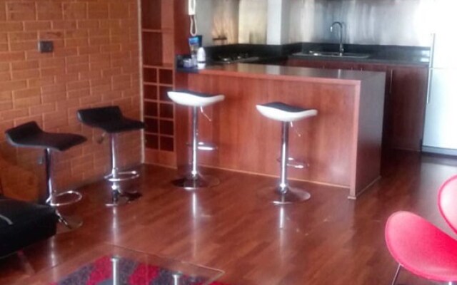 Departamento en Providencia - Barros Borgoño