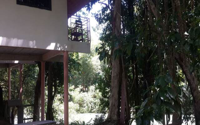 Khao Sok Jungle Huts