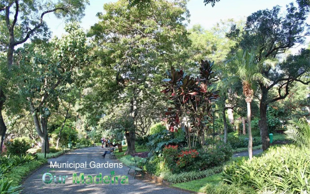 Premium Quiet Apt, Funchal Seafront | Oceanbreeze