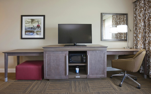 Hampton Inn Minneapolis-Roseville
