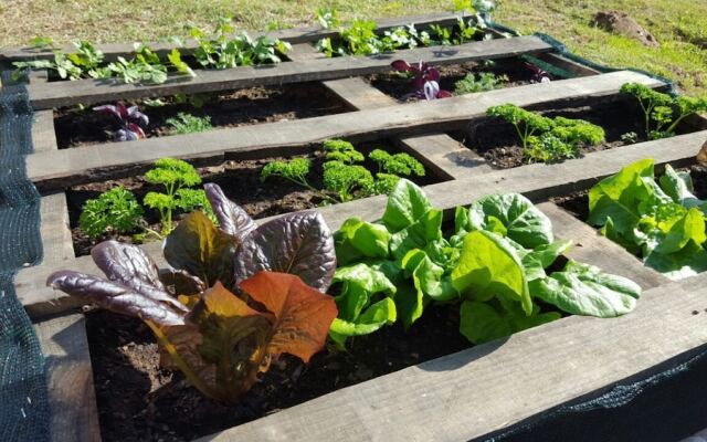 The Backpack Shack - Hostel