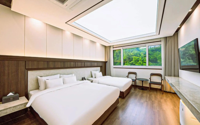 Hotel Demer