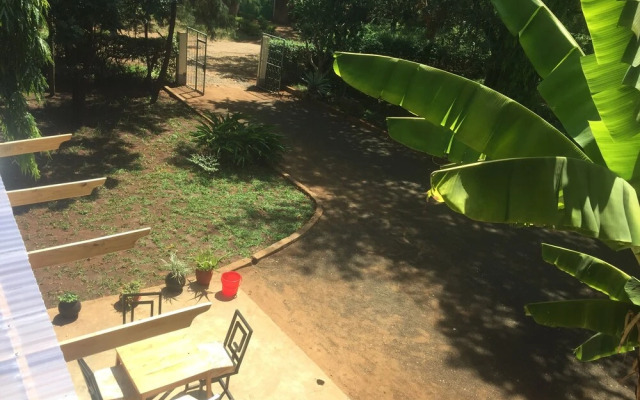 African Jungles campsites and Lodges