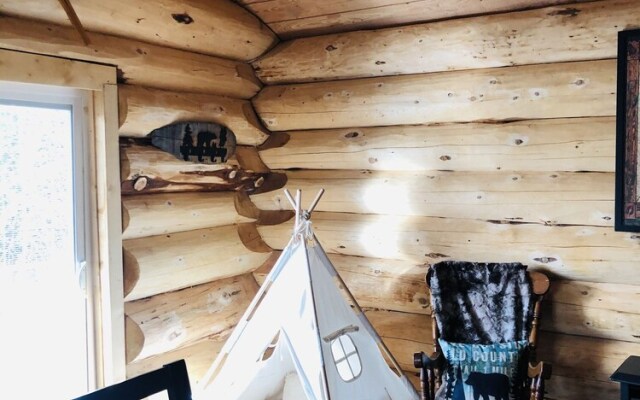 Wrangell Mountain Lodge