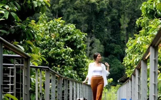 Borneo Rainforest Lodge