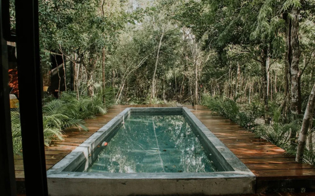 K NAJ Community Cenote residence