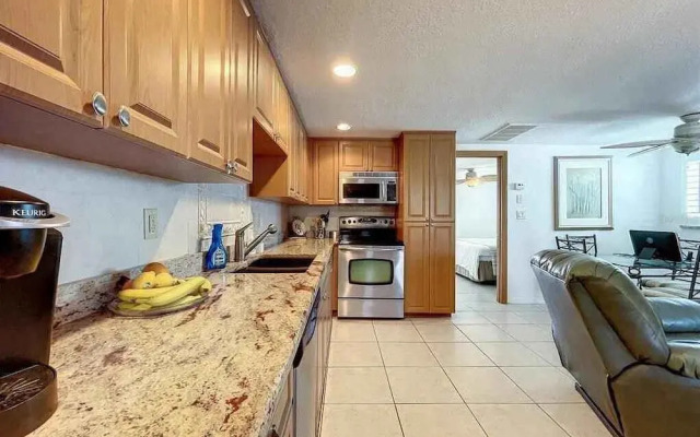 Enjoy Sunset with Dolphin and Manatee