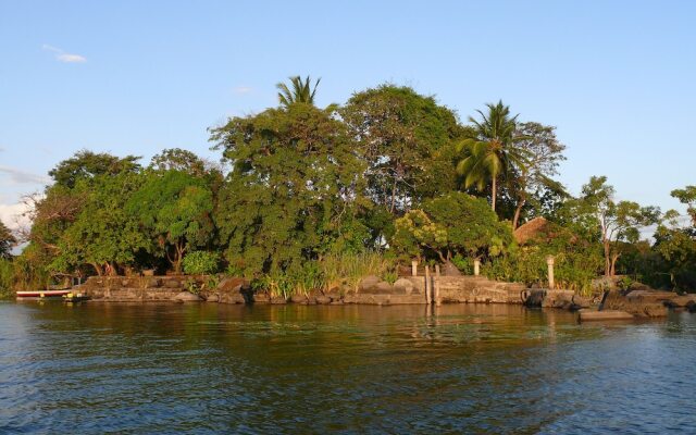 Zopango Orchids Island