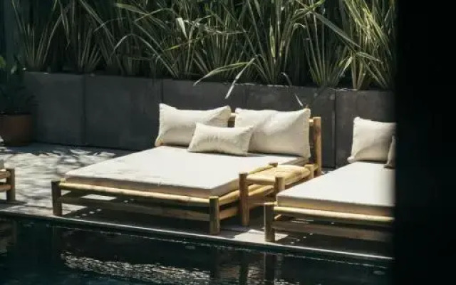 Primus Nefes Adults Only