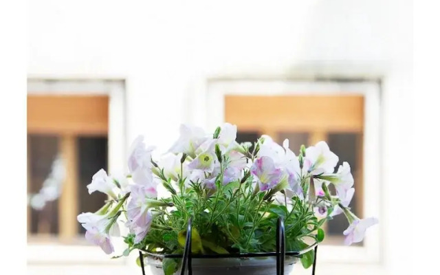 Mercanti Vintage Apartment