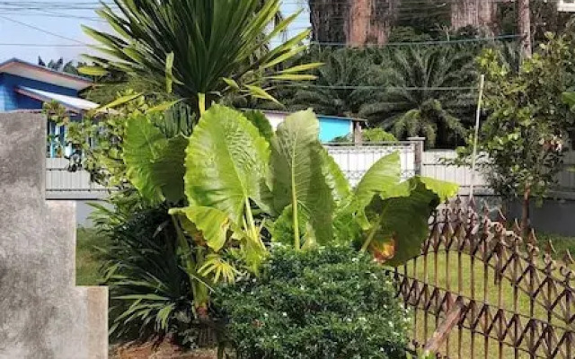 Greeneryhousekrabi52