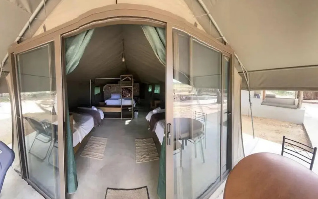 Limpopo Bushveld Retreat