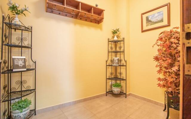 Alfalfa Sky View By Valcambre