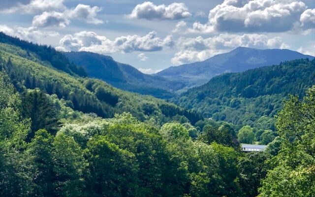 Afon View