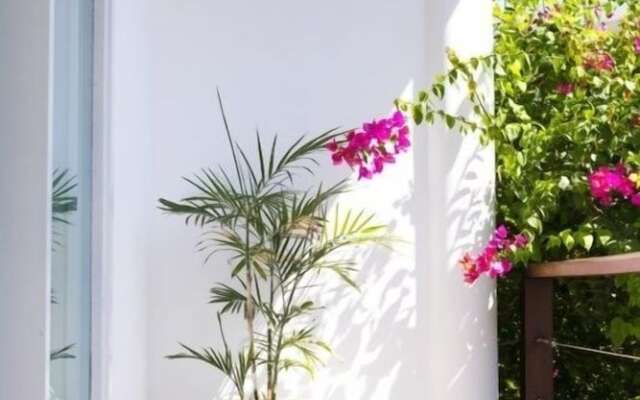 Villa La Sirena 2 Minutes From Beach 3 Bedroom Villa by RedAwning