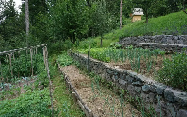 Slabnik Nature Escape