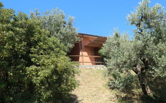 Snug Holiday Home in Castagneto Carducci near Thermal Bath