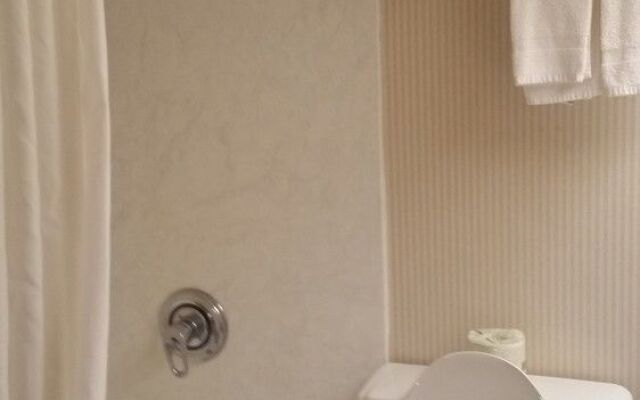 Clarion Hotel Downtown