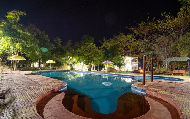 Jungle King Resort