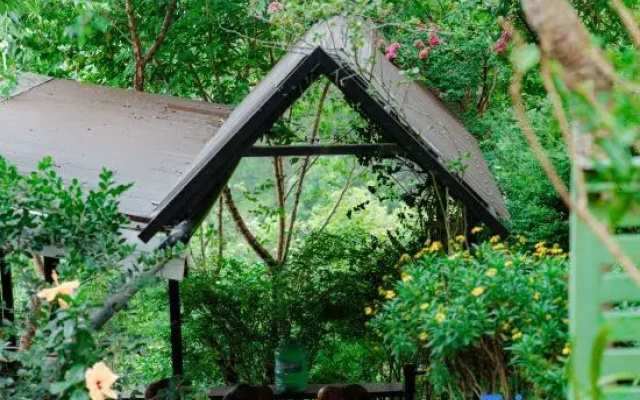 Sweet Home Dalat - Homestay