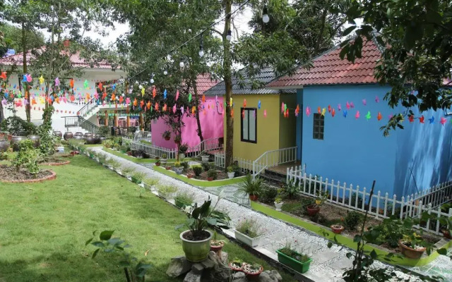 Windy Hill Catba Homestay