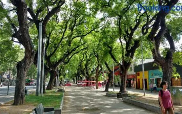 Alojamiento Aloja N1