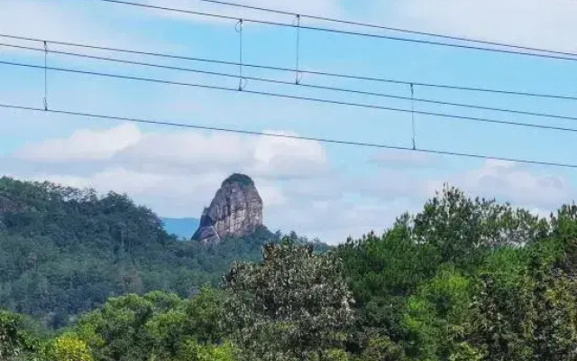 Wuyi Mountain Youlan Homestay