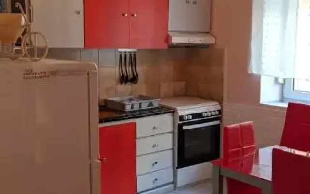 Nikol & Stella's House