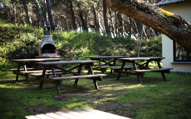 Casa Vacanza Bibbona