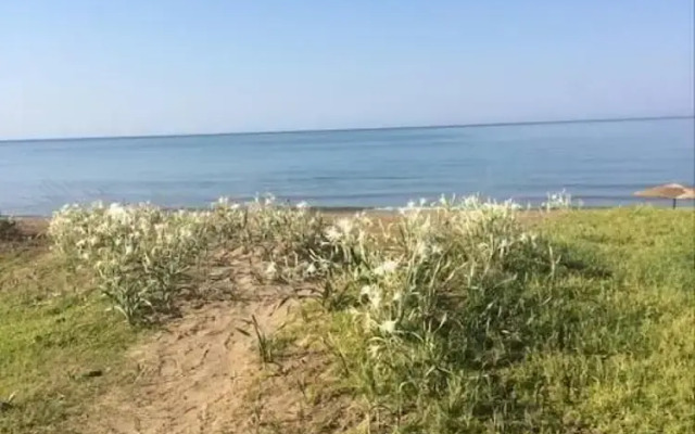 Summer Beach House Spiaggia