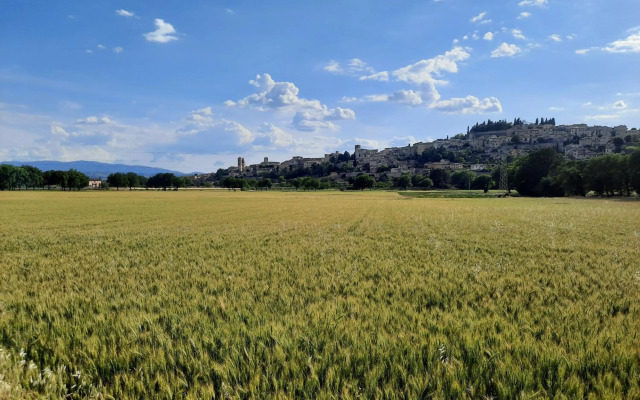 La Casa Tra Gli Ulivi