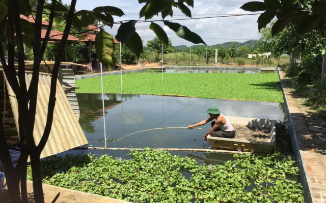 Huong Tuan Farmstay